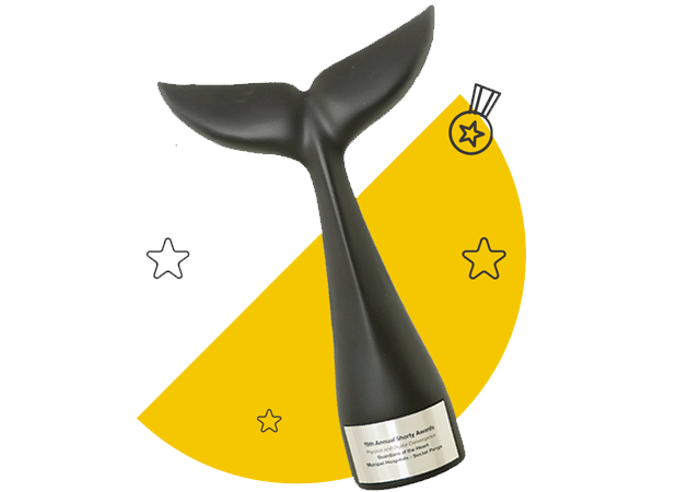 Nothing short(y) of Amazing